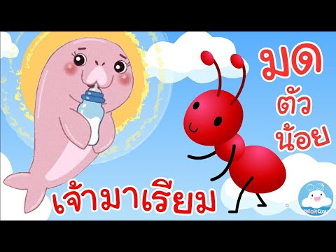 เพลงเจ้ามาเรียมพะยูนน้อยขี้เซา & เพลงมดตัวน้อย เพลงเด็กน้อยวัยอนุบาล @KidsOnCloud