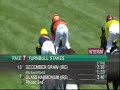 Turnbull Stakes 2011 - Melbourne Cup Carnival at Flemington Racecourse