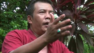 Eko Prisdianto  Sumpah Janji