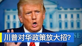 川普政府未来10周会对中共放大招吗/Will Trump Launch Tough Policies on China In Next 10 Weeks/王剑每日观察/20201116
