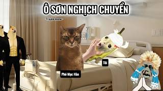 Ô Sơn Nghịch Chuyển | Truyện meme mèo