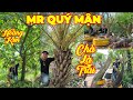 MR QUÝ | #0975929126 | CHÀ LÀ TRÁI LỚN, VÚ SỮA HOÀNG KIM KHỦNG, MÍT QUÁI, VÚ SỮA XƯA, LÊKIMA, MCT...