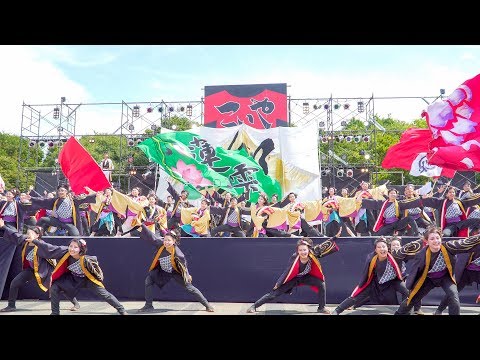 [4K]岡山うらじゃ連 蓮雫　こいや祭り2017 1日目 太陽の広場会場