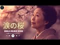 涙の桜 (Namida no Sakura) – 心に残る切ない愛の演歌
