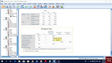 SPSS (10): Chi-Square Test