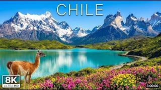 Beautiful Chile 8K - Torres del Paine, Andes Mountains, Atacama & Calming Music for Deep Sleep screenshot 3