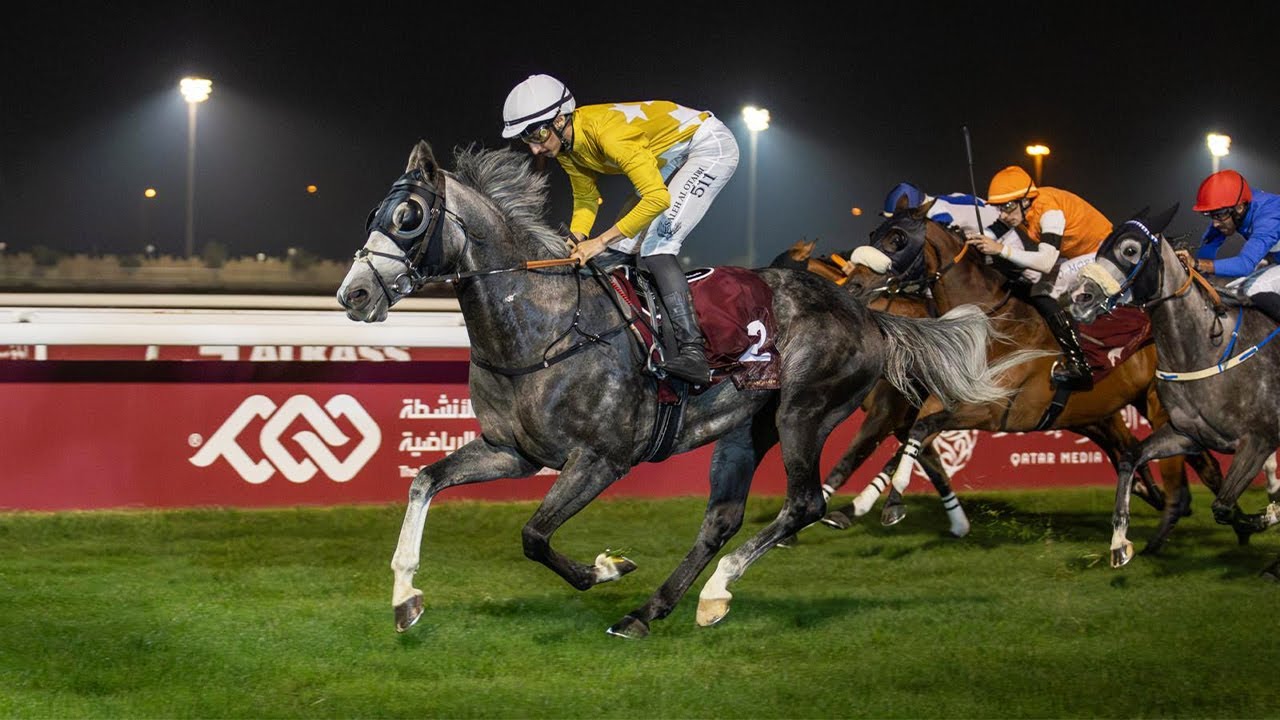 RM 28  Al Uqda Race 6 - Distaff Cup