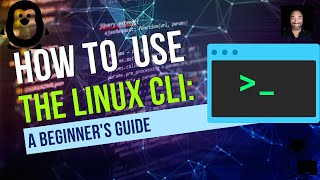 How to use the Linux CLI: A Beginner's Guide