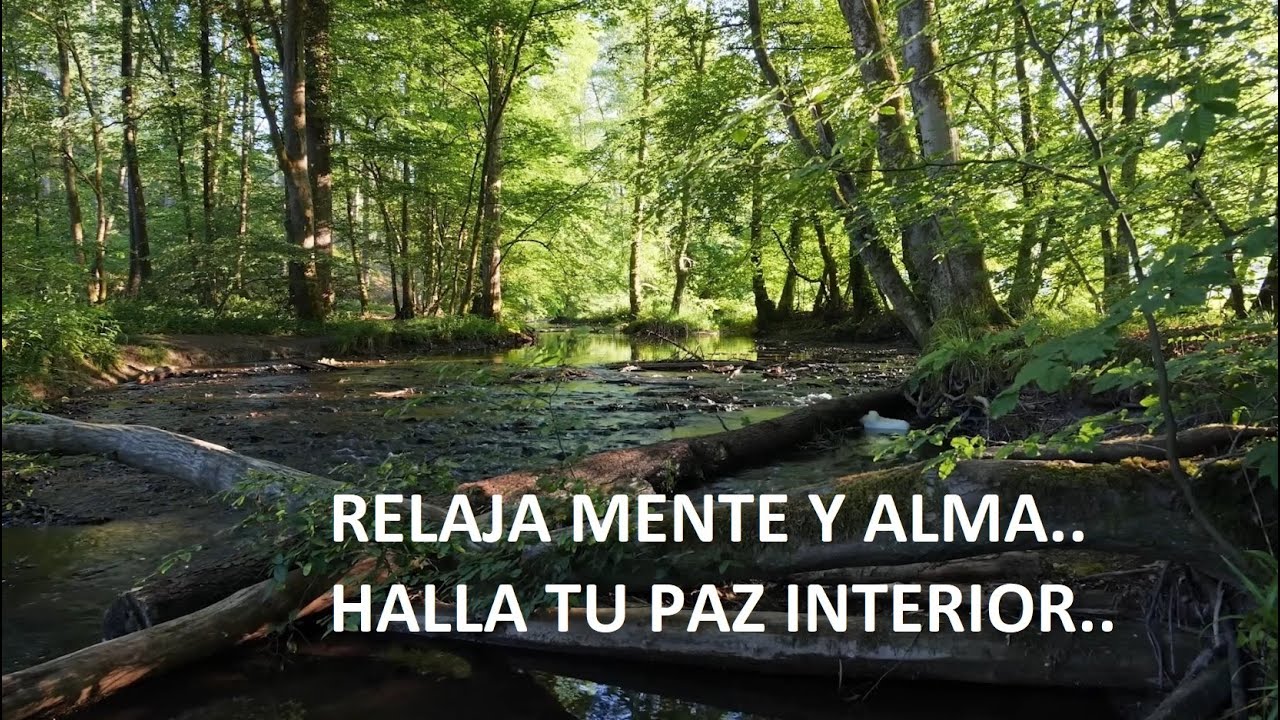 Relaja Mente y Alma - Sonidos Relajantes de Naturaleza - Sonidos del ...