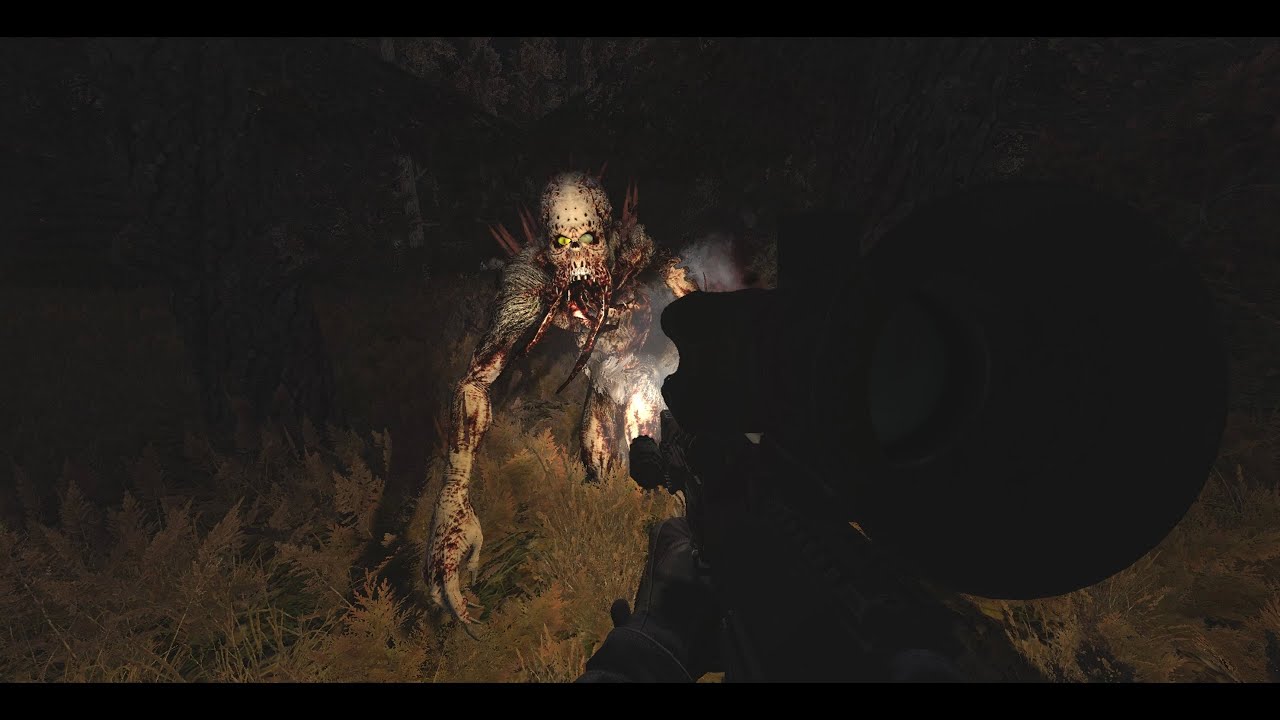 Nocturnal Mutants in a Nutshell