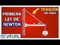 Solución de problemas de equilibrio traslacional ejemplo 4 de 9 | Primera ley de Newton - Vitual