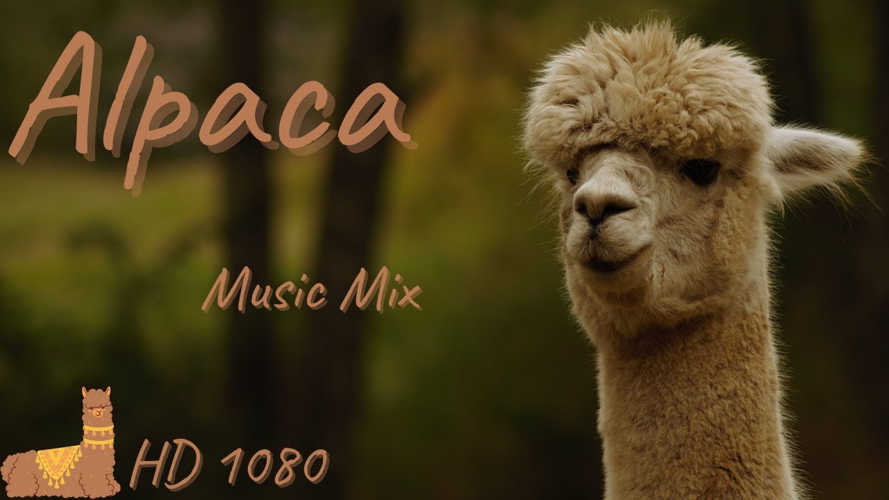 Relaxation Music - Alpaca Music Mix
