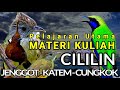 BARU NIH || MASTERAN MURAI BATU DAN CUCAK IJO [MATERI ISIAN BURUNG LOMBA]