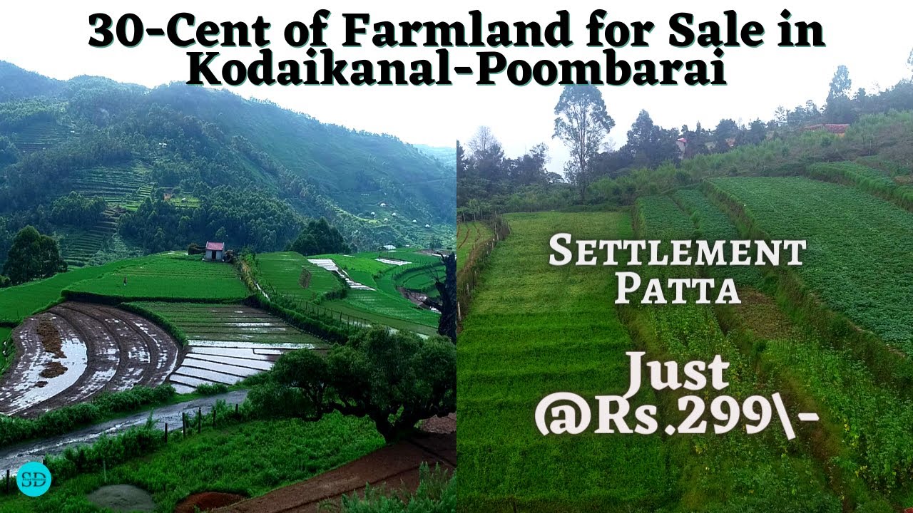 30 Cent of Farmland for Sale in Kodaikanal at Poombarai | Clear Titled Settlement Property | E-169
