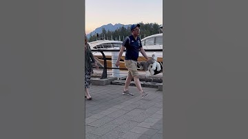 “Delete the video!” 😭