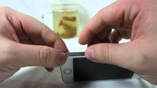 iCarbons for iPhone 5S Gold Application screenshot 2