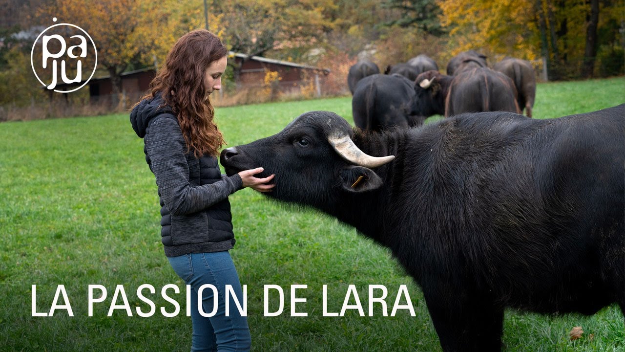 Lara, 20 ans, élève des bufflonnes et fabrique de la mozzarella