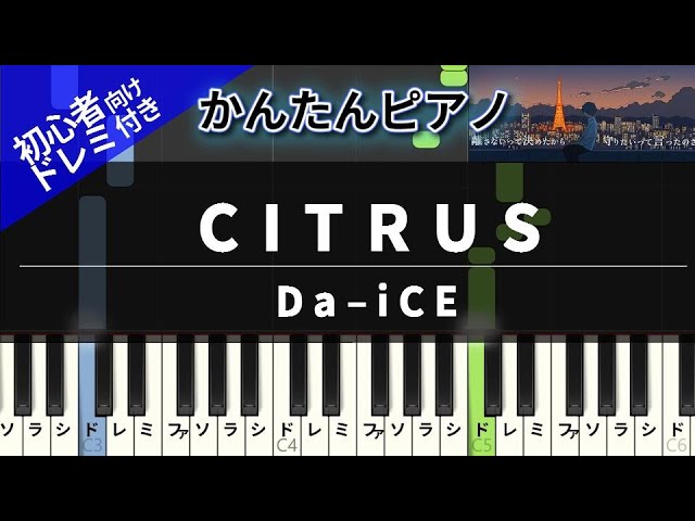 かんたんがくふ PLAYTECH House Sound | 送料無料 Keyboard Folding PFK61 その他