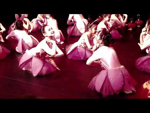 华星艺术团节目 开场舞：福兔迎春