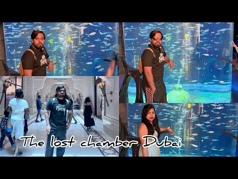 The Lost chamber aquarium Dubai Marina EP-14 || Dubai Vlogs
