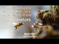 The Pollinators (2020) | Sneak Peek 1