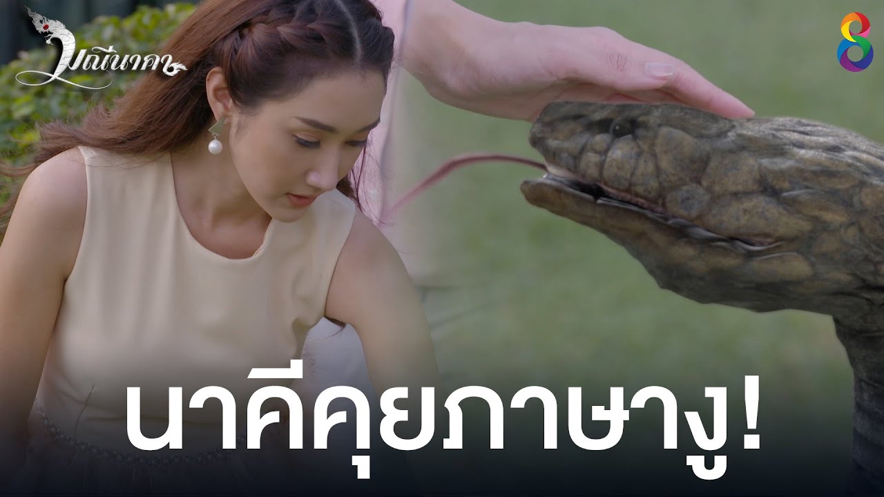 นาคีคุยภาษางู!  | HIGHLIGHT มณีนาคา EP6 | ช่อง8