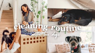 🐾 Dog Cleaning Routine | Managing Dog Hair, Organization, & Favorite Products