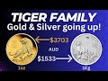 Gold & Silver going up! check out this Tiger Family, Its still a great time to stack, don't miss it.