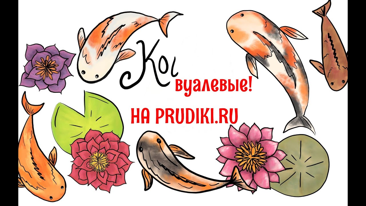 🔴 Вуалевые зимующие японские карпы КОИ! Красивый окрас карпиков кои ...