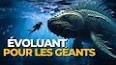 Les créatures marines les plus étranges et les plus fascinantes ile ilgili video