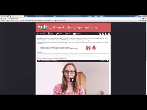 How to use the comand line Interface on CodePunker.com