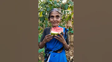 Fun watermelon tasting with family