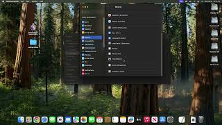 Install Disable Gatekeeper