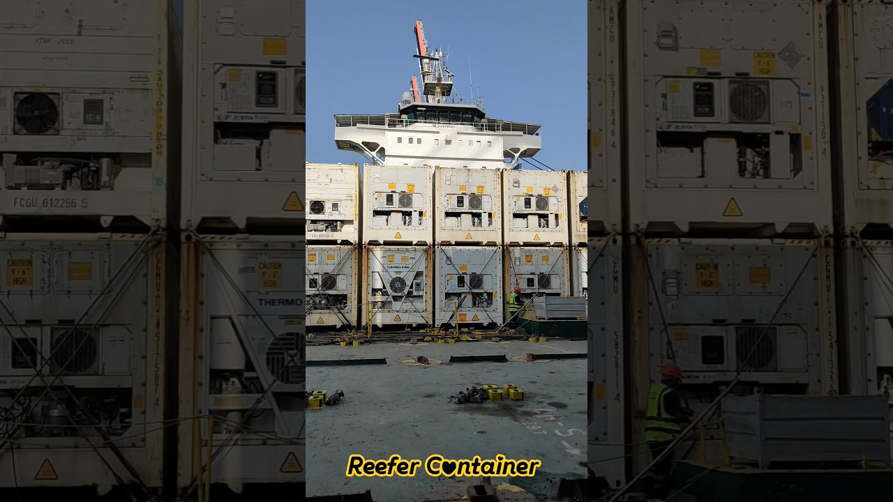 #reeferloads #container