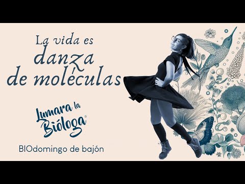 BIOdomingo de Bajón.