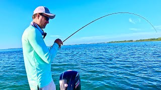 WINTER Species Turning UP in Moreton Bay