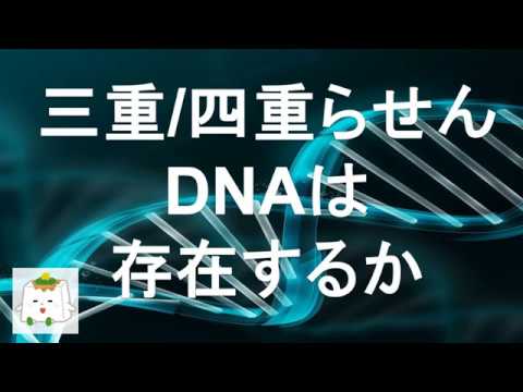 Dnaの三重 四重らせん構造 生物化学 Youtube