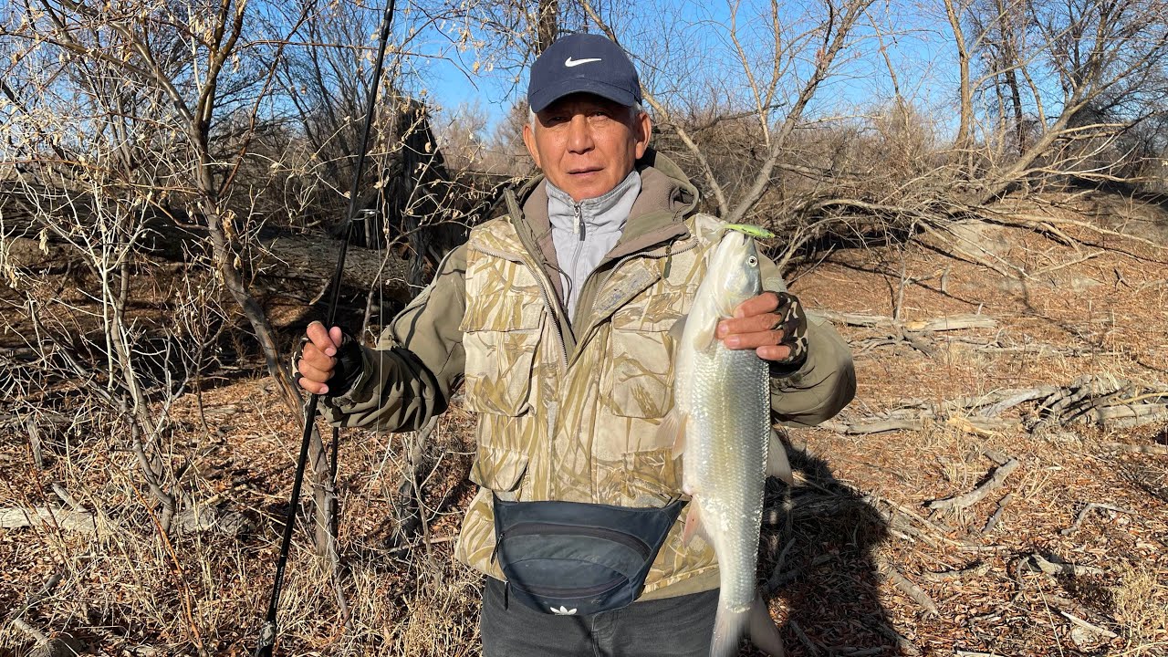 ЖЕРЕХ 2023, река Каратал. Рыбалка на жереха. Рыбалка в Казахстане ...