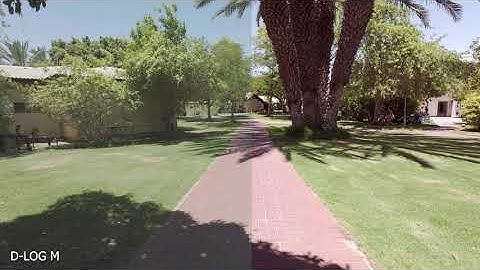 Shotcut - Color Grading - D-LOG M - Example