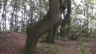 Lille Restrup Hovedgaard