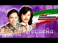 Los Temerarios - Pequeña (Mariachi / Visualizer)