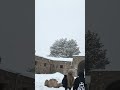 Frozen in time