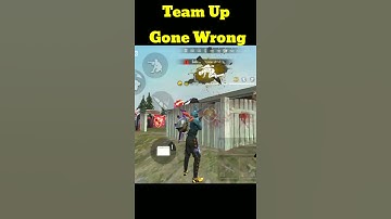 Team Up With A Player Gone Wrong || Void Gamer #shorts