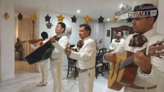 Video thumbnail of "Mariachi Coyoacan.  Mátalas"