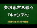 『キャンディ』/矢沢永吉を歌う_6194 by 自然の恵みに日々感謝