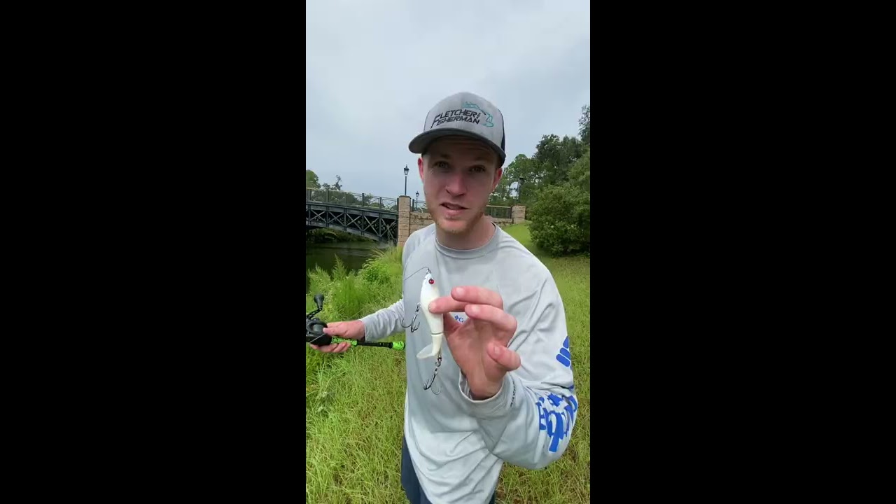 15lb BASS EATS MY WHOPPER PLOPPER 