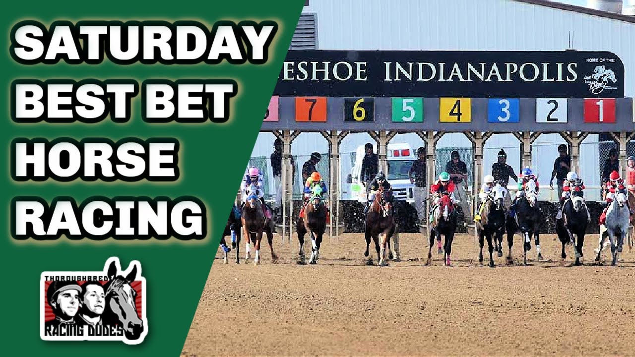Horse Racing BEST BET June 24, 2023 Horseshoe Indianapolis YouTube