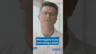 What happens to your brain during a stroke?