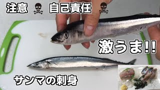 【注意　自己責任】新サンマ　秋刀魚の刺身