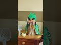 Guan Yu, a cat of unparalleled righteousness. #exlittlebeans #funnyvideo #funnycats